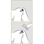 ANAL FANTASY - OTWARTY KOREK ANALNY Z TUNELEM 6,1 CM