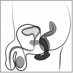 ANOS - PORĘCZNY MAŁY KOMPAKTOWY MASAŻER PROSTATY CZARNY