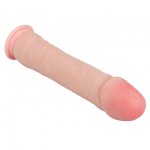 BAILE - DUŻY PENIS REALISTYCZNE DILDO Z PRZYSSAWKĄ 26CM