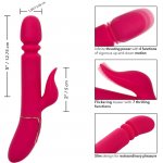 CALEXOTICS - WIBRATOR I STYMULATOR Z FUNKCJĄ PCHANIA CZERWONY