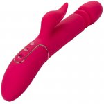 CALEXOTICS - WIBRATOR I STYMULATOR Z FUNKCJĄ PCHANIA CZERWONY