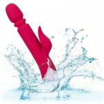 CALEXOTICS - WIBRATOR I STYMULATOR Z FUNKCJĄ PCHANIA CZERWONY