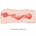 CRAZY BULL - PORĘCZNY MASTURBATOR JANE Z OTWOREM CIPKI 13.5CM