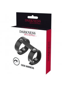 DARKNESS - REGULOWANY SKÓRZANY PIERŚCIEŃ NA PENISA I JĄDRA