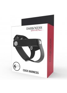 DARKNESS - SKÓRZANY PIERŚCIEŃ EREKCYJNY NA PENISA I JĄDRA