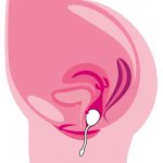 KULKA GEJSZY Z 10 TRYBAMI WIBRACJI I PILOTEM FIOLETOWA