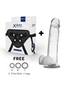 X RAY - UPRZĄŻ Z 3 PIERŚCIENIAMI + PRZEZROCZYSTE DILDO 22CM