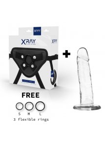 X RAY - UPRZĄŻ Z 3 PIERŚCIENIAMI + PRZEZROCZYSTE DILDO 18CM