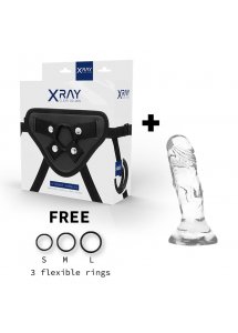 X RAY - UPRZĄŻ Z 3 PIERŚCIENIAMI + PRZEZROCZYSTE DILDO 12CM