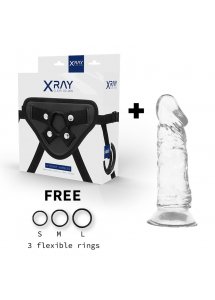 X RAY - UPRZĄŻ Z 3 PIERŚCIENIAMI + PRZEZROCZYSTE DILDO 16.5CM