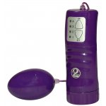 YOU2TOYS - 9-CZĘŚCIOWY ZESTAW ZABAWEK MIŁOSNYCH FIOLETOWY