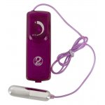 YOU2TOYS - 12-CZĘŚCIOWY ZESTAW ZABAWEK MIŁOSNYCH FIOLETOWY