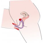 YOU2TOYS - ROZSIEWACZ INTYMNY DO WARG SROMOWYCH
